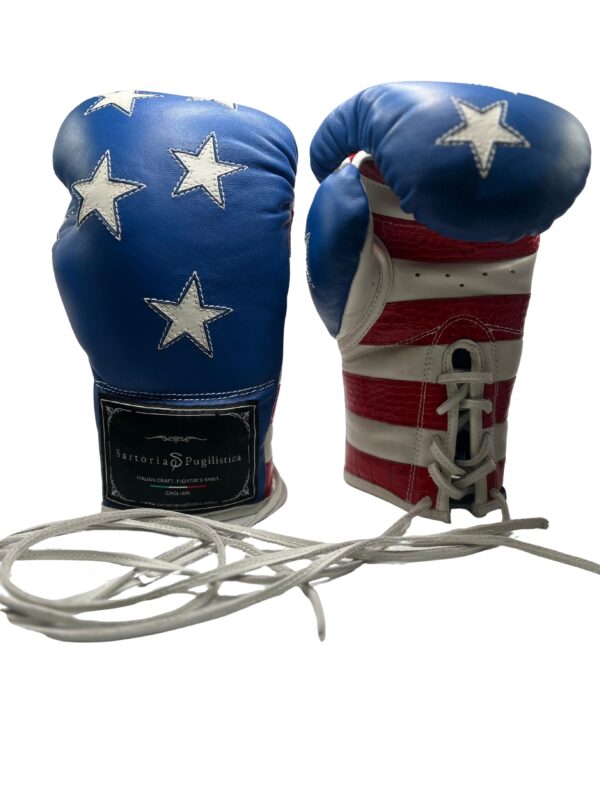 Guantoni Fuoriclasse™ da Pugilato Professionali