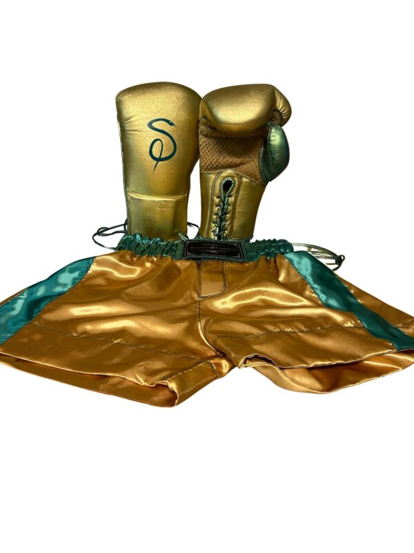 Guantoni Fuoriclasse™ da Pugilato Professionali