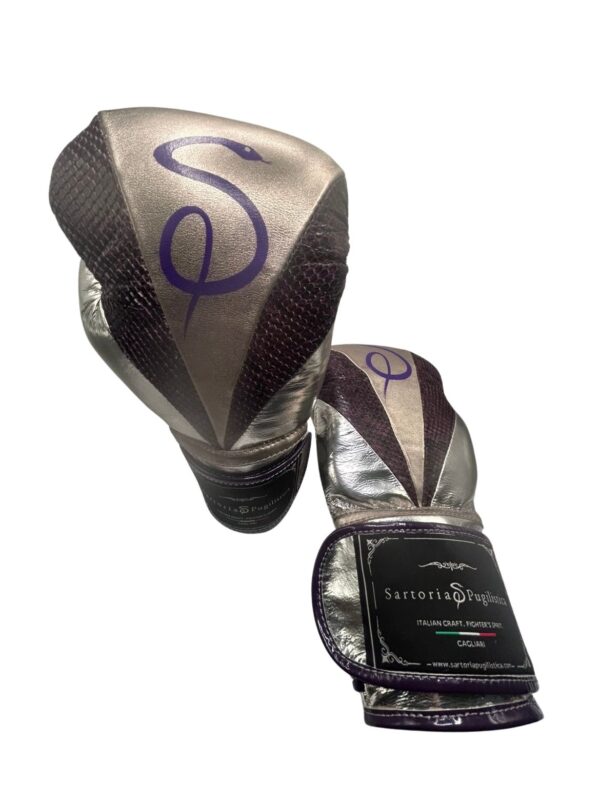 Guantoni Tecnico™ da Pugilato Professionali