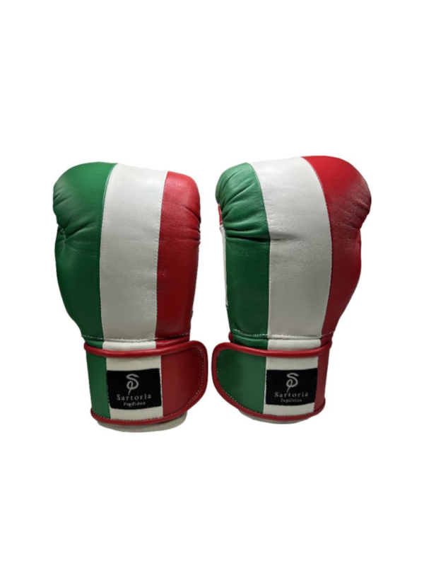 Guantoni Fuoriclasse™ da Pugilato Professionali